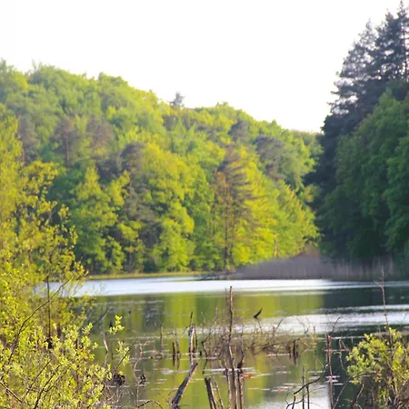 In With Parking Space Ferienhaus Kołczewo