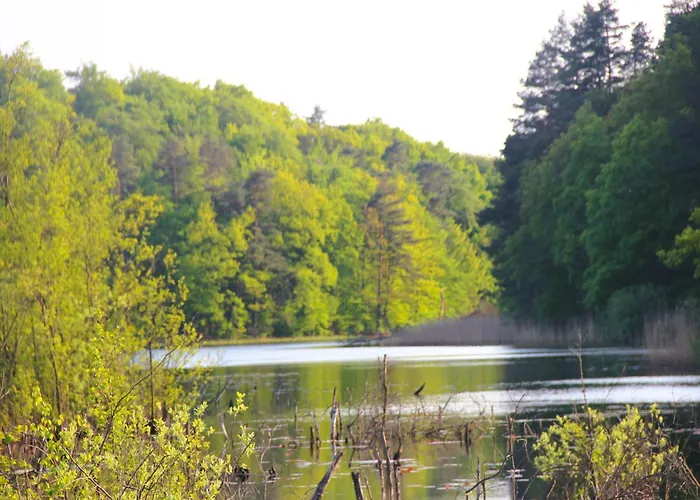 In With Parking Space 度假居 Kołczewo