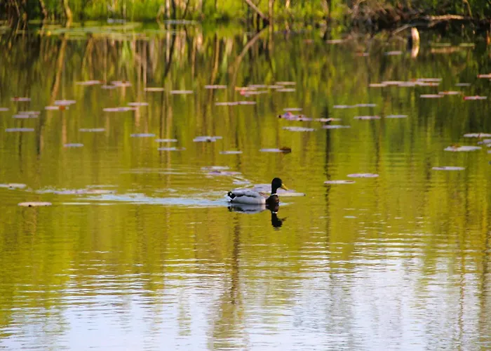 度假居 In With Parking Space *